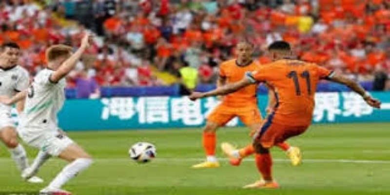 战术深度解析：卡迪夫城的攻守调整-九游体育